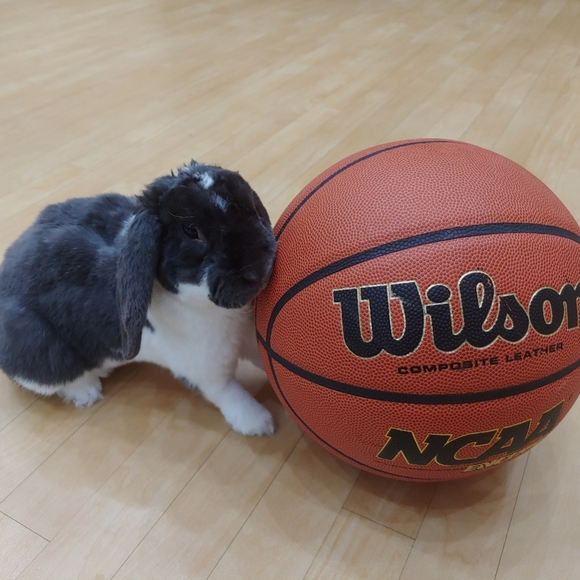 I ❤ OFFERS!!! - Picture 5 of 5